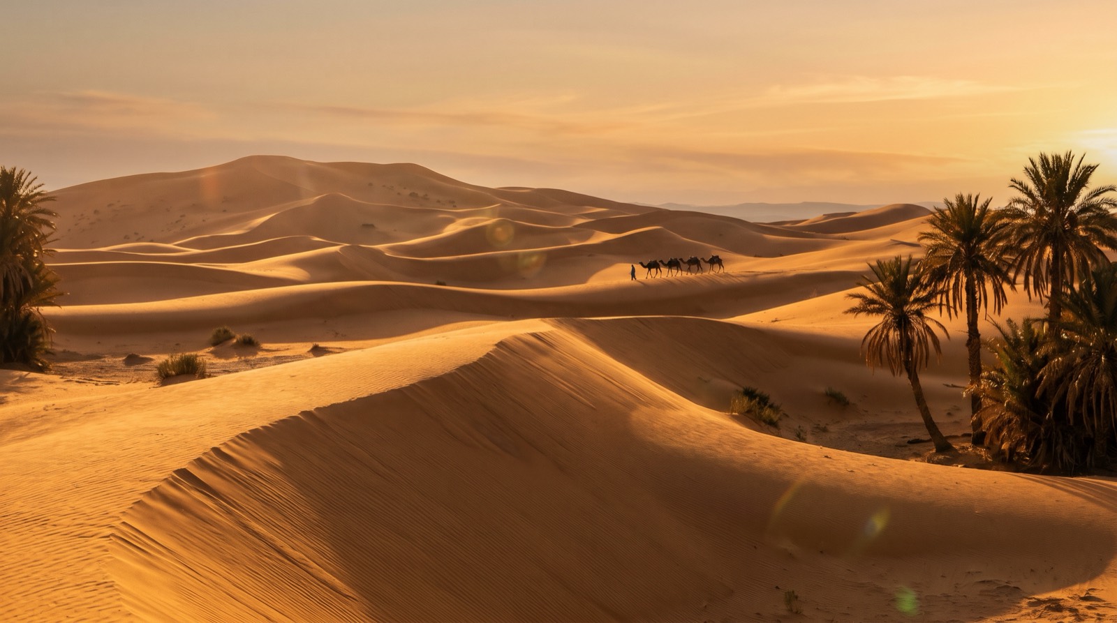 the Sahara dunes near Douz at sunset